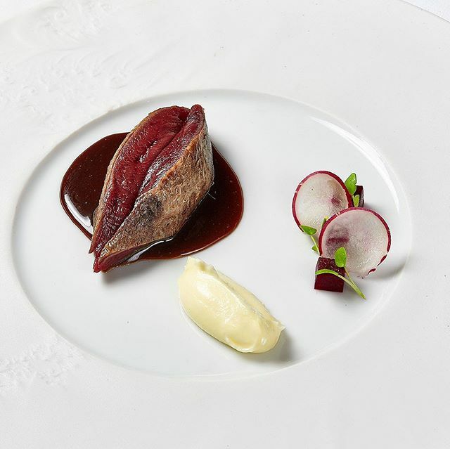 Paloma torcaz, salsa Breton, puré de patatas y remolacha aliñá!!! Plato de esta temporada🔥✨
#temporada2020 📸 @julio_gonzalez_food .
.
.
.
.
.
.
.
.
.
#lúcocinayalma #juanlúfernandez #juanlú #lucocinayalma #jerez #francia #andalucia #boquegroup #miche… ift.tt/2RdGQs8