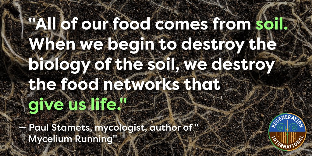 Regeneration International (@regeneration_in) on Twitter photo 