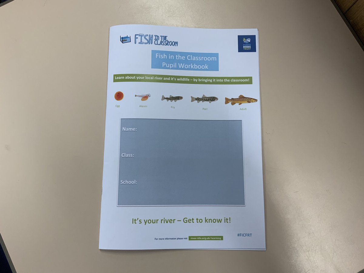 Colinsburgh Primary School tweet media