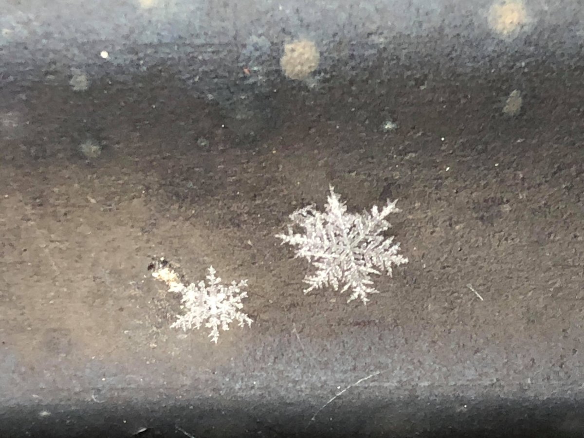 spann's tweet photo. Amazing details in these snowflakes that fell in Gurley this morning… photo from Tobe Nicholson https://t.co/6lRE9R4DJz