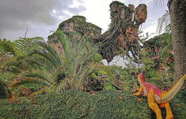 Mr_Allosaurus's tweet photo. You ever just stop and realize how beautiful your surroundings are? ⬆🗻🌳🌐
_
_____
#nature #explore #beauty #avatar #breathtaking #wonder #openyoureyes #pandora #worldofavatar #dizcolors #floatingmountains #disneysanimalkingdom #animalkingdom #disney #… https://t.co/XCsZQWS84r https://t.co/GhrvP6gM0N