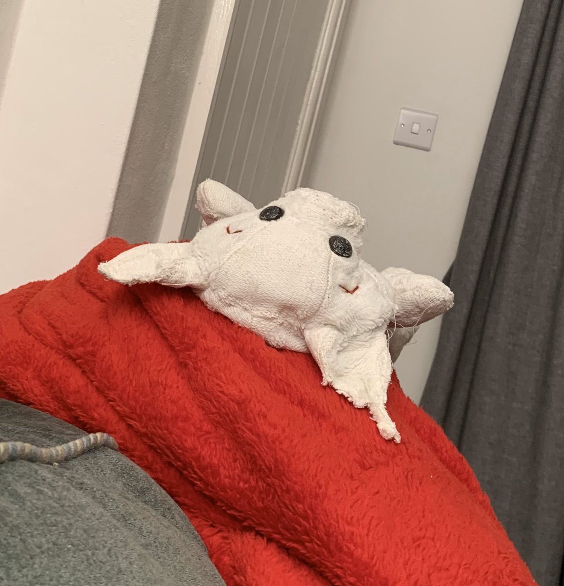 KnittingNun's tweet photo. Piggy clean and dry. Having a wee rest before stuffing. #PiggyUpdate https://t.co/GEXTaIAs2W