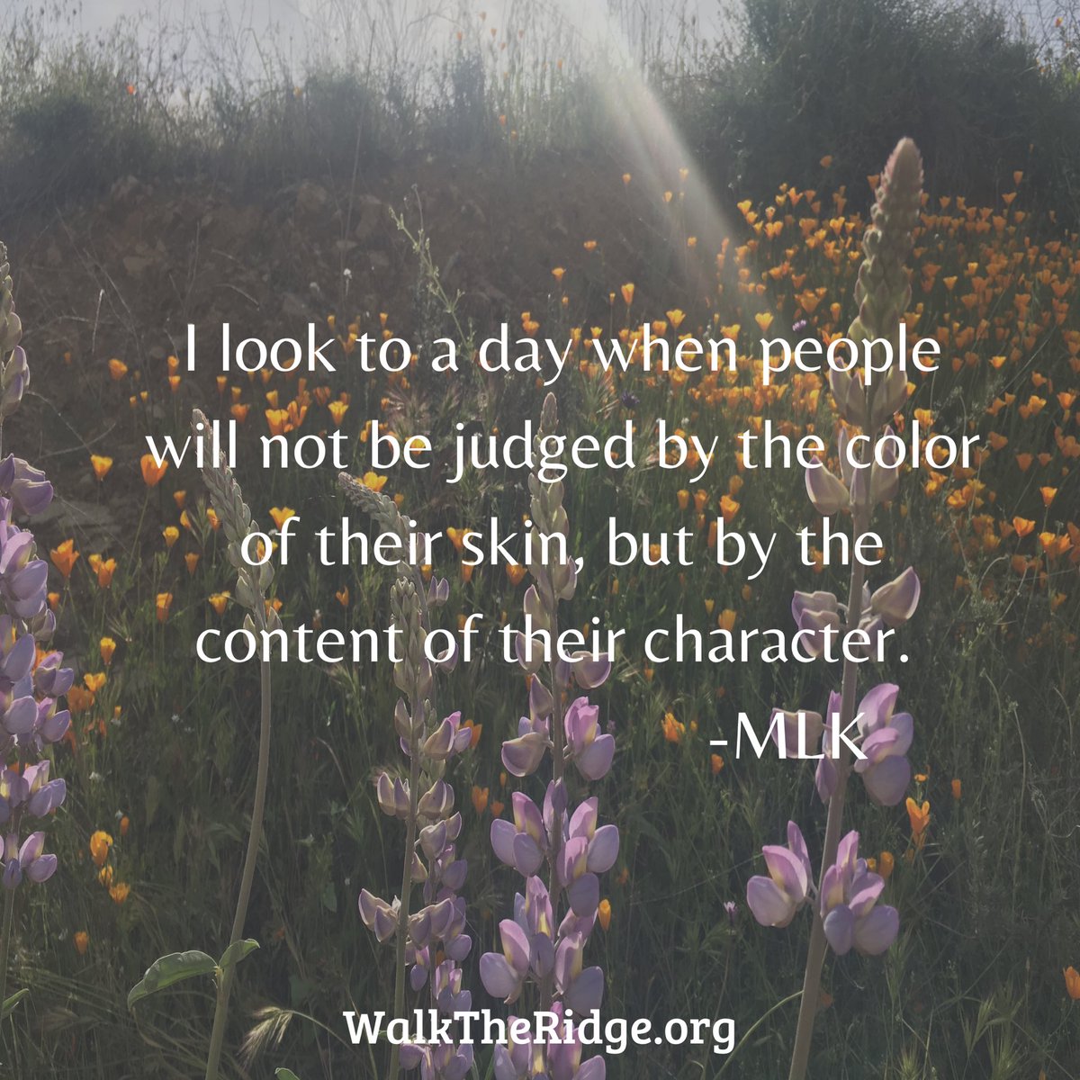 You can never read this quote to o many times. #civility
