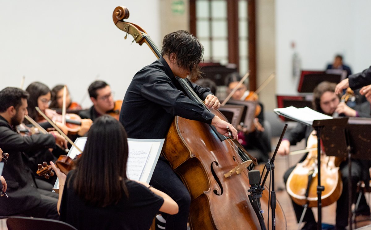 CC_LosPinos's tweet photo. #LosPinosSuenan con #LasCuerdas de la #OECCh.
El domingo 19 de enero más de 150 personas pudieron disfrutar las obras de Britten, Bottesini y Dvorak gracias al talento de estos jóvenes instrumentistas. https://t.co/FP9ENYSwlQ