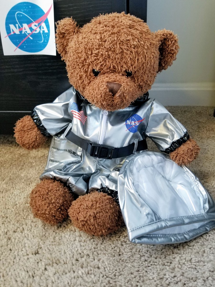 teddy bear space suit