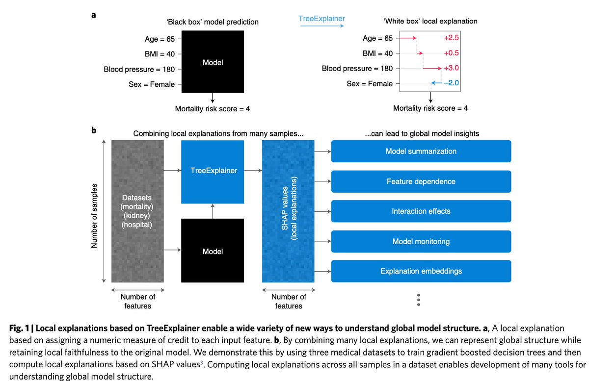 shap machine learning