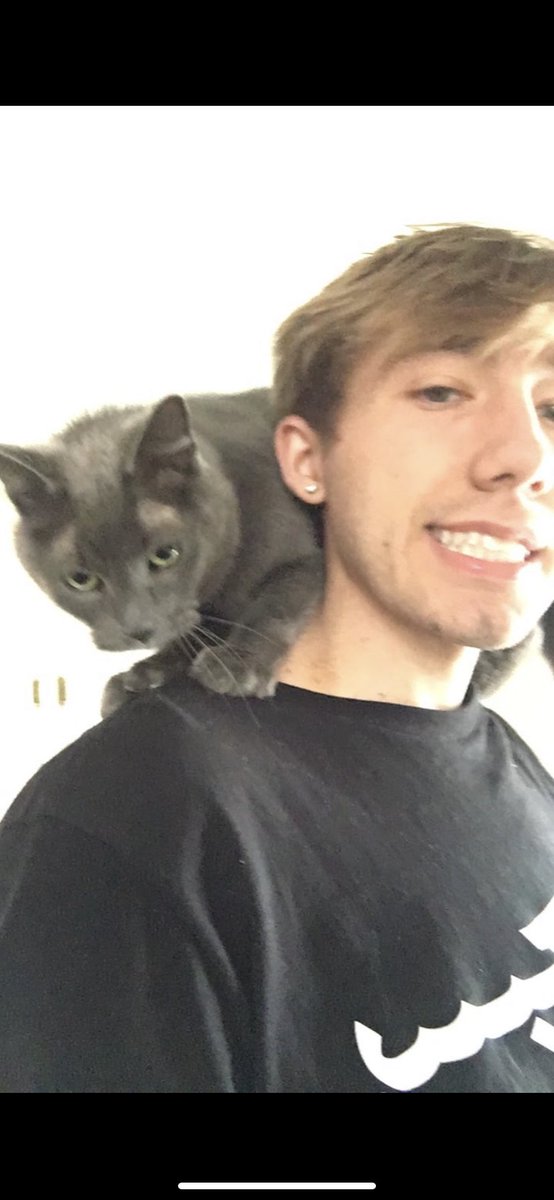 notjacobkentner's tweet photo. Rest easy little one 😢 https://t.co/xGLLMH69au