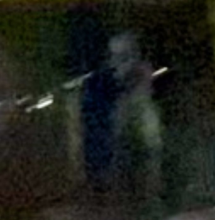 Garrett Watts tweet media