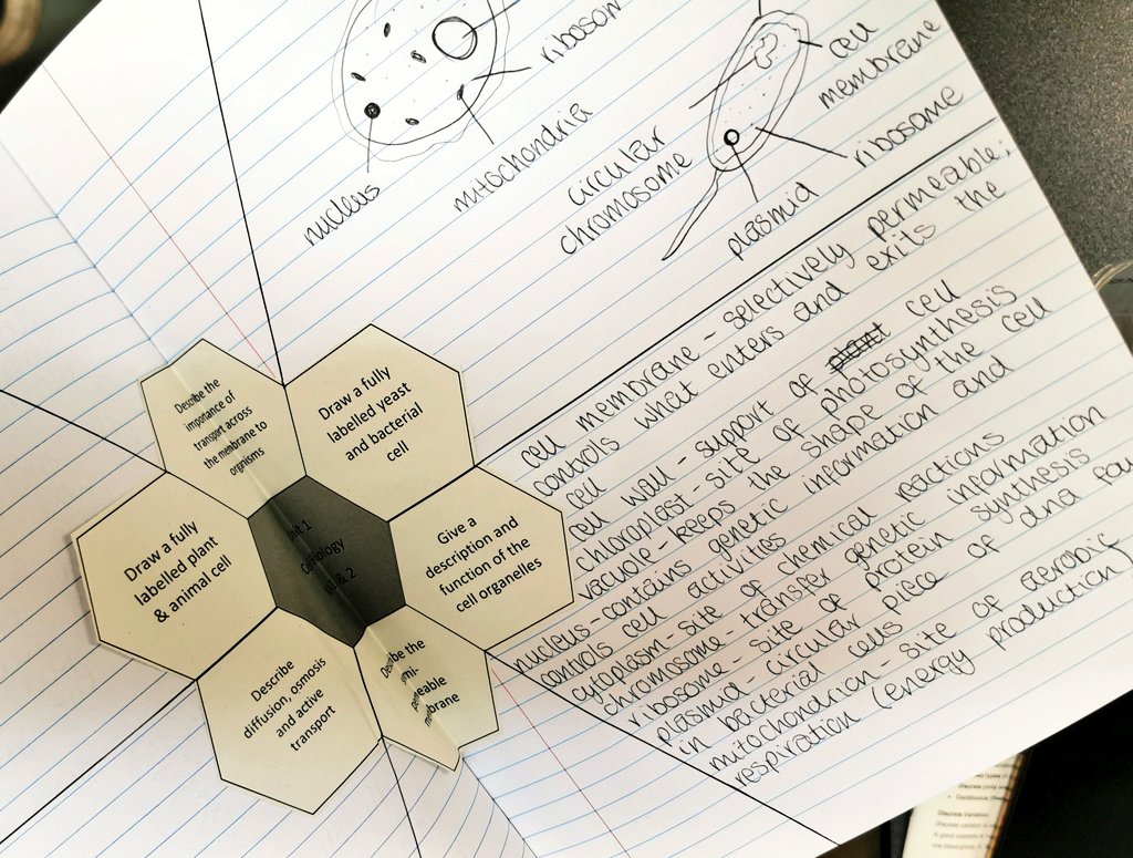 AboyneScience's tweet photo. Our #Nat5Biology pupils were issued with two great tools to support their #Prelim preparation today.

We put together an Exam Prep Guide to support pupils with revision, command words and calculations.

The #revisionclocks are a great way to scaffold revision for each unit. https://t.co/qXIzrLlPes