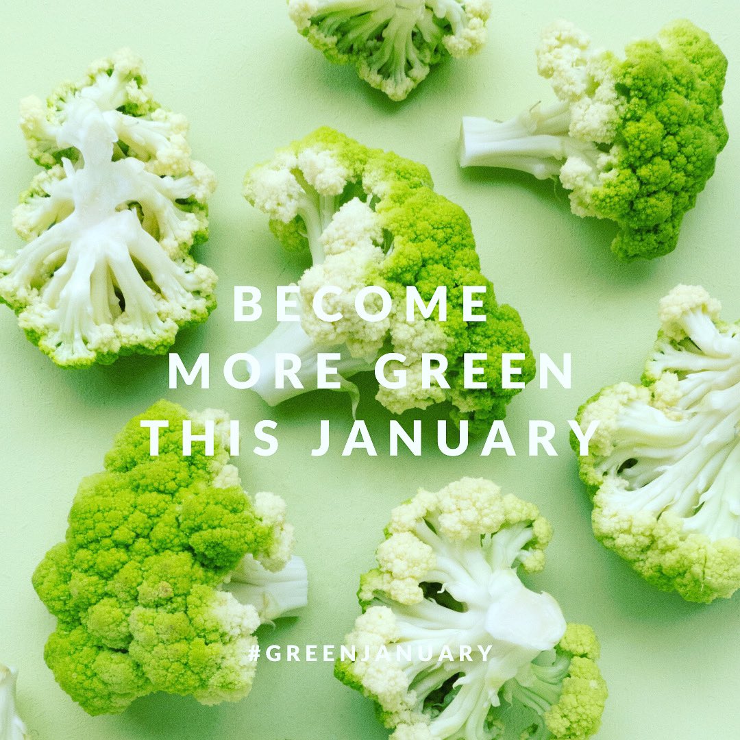Become more green this January.
Use code GREENJANUARY at the checkout and get  30% off on all orders.

#greenjanuary
#januarysale