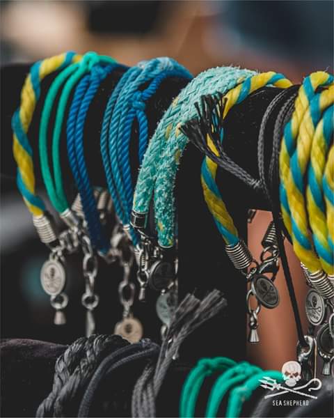 Sea Shepherd México tweet media