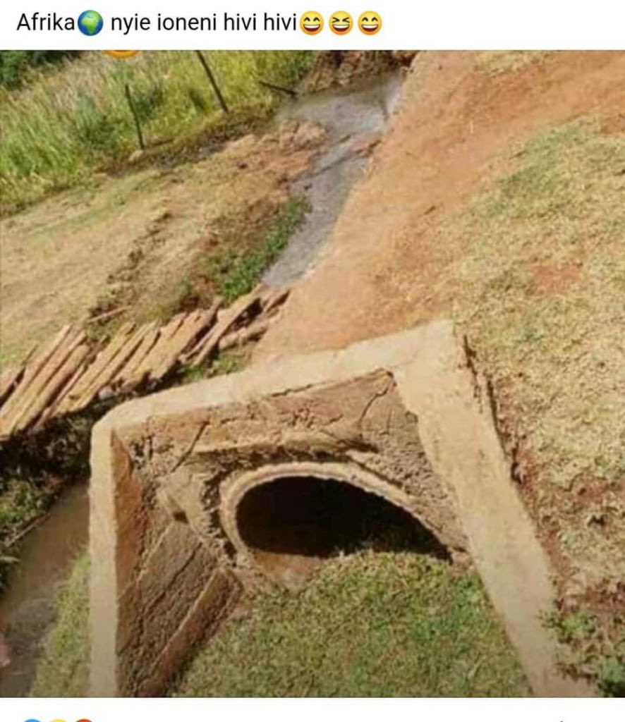 raj_ze's tweet photo. This is Afrika https://t.co/4DiYgz9bA6