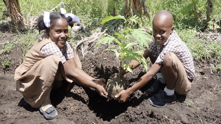 AGERCA1's tweet photo. Ann kontinye plante ak pwoteje #pyebwa🌳🌴🌲yo pou nou ka #PwotejeAnviwònman🌎🌍🌏nou.
#PensonsVert #ClimateChange #ClimateEmergency #ClimateAction #DanjeApouNouTout #TimeForAction
@DigicelHT https://t.co/GM0WgbwoOK