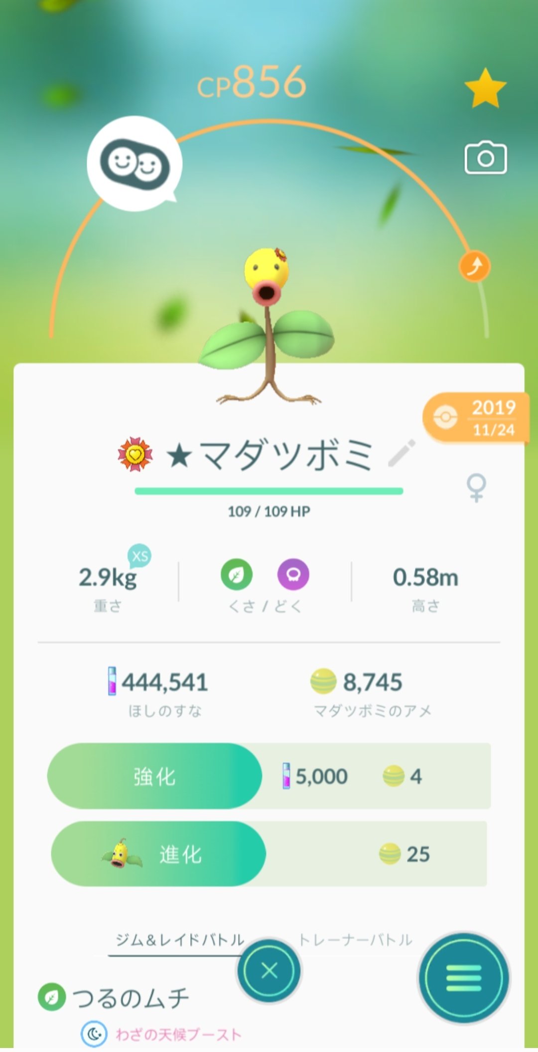 りび 初代個体値maxのマダツボミを 最高の相棒にしてきました٩ W و がんばリボンがコサージュみたいになってて可愛い 2代目個体値maxのコに交代して また最高の相棒にして行きます ポケモンgo マダツボミ がんばリボン T Co
