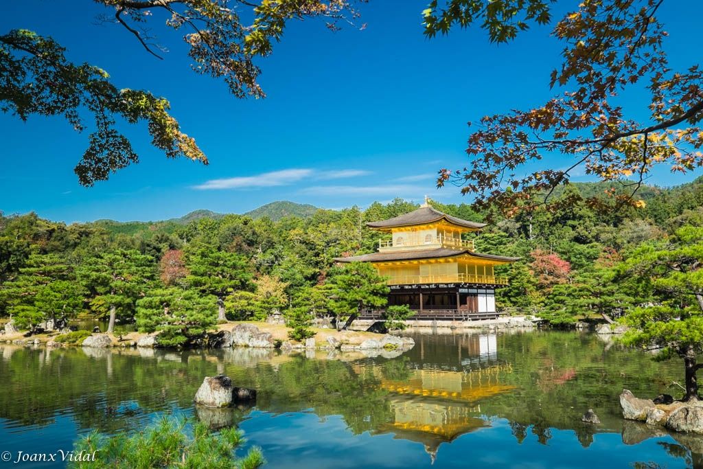 FotosMundoCom's tweet photo. TEMPLE DAURAT
Fotografo: Josep Vidal
https://t.co/gPsGpp9DVW
 #kinkakuji #japan #kyoto #goldenpavilion #japantrip #kinkakujitemple #travel #kyotojapan #kyototrip #wagyu #okonomiyaki #yakisoba #monjya #halalwagyu  #enak #bestjapan #heianjingu #halal #halalokonomiyaki https://t.co/xsVTdEuk8e