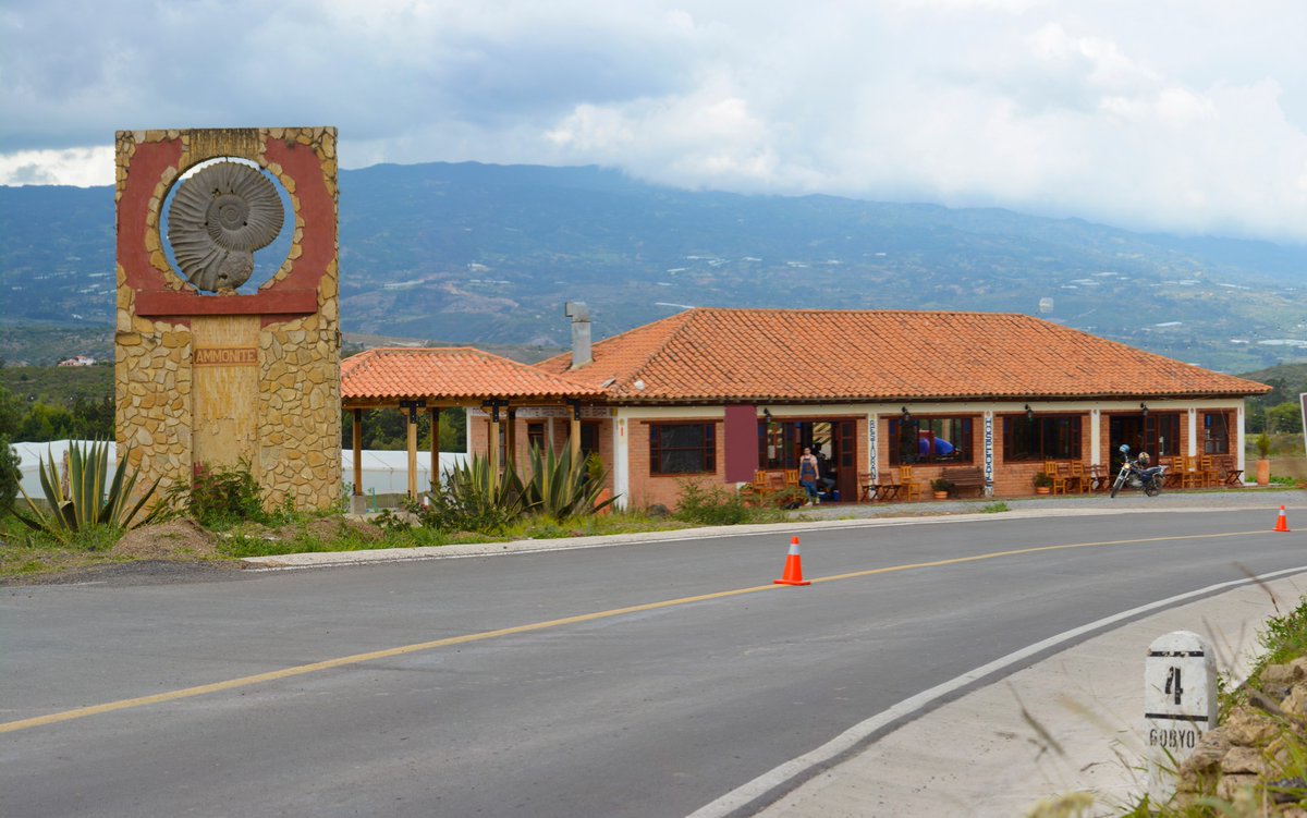 DinosauriosRest's tweet photo. ¿Listos para el festival?
¡Desde ya los esperamos! 
Bienvenidos a las tierras lindas y fértiles de Villa de Leyva, los esperamos en el #RestauranteParque #LosDinosaurios.

#Restaurante#Boyacá #Colombia #enfamilia #picadasboyacenses fibas #ecoparquejusmar #LaGranjadeAvestruces https://t.co/AhRMnjoArS