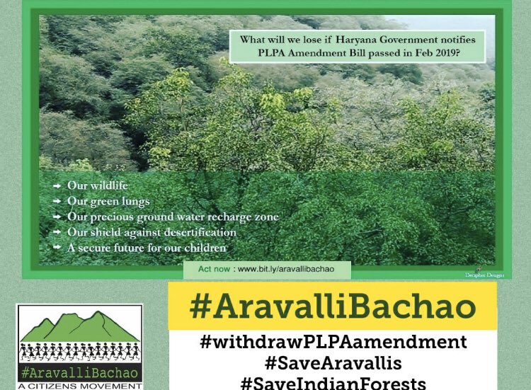 pallaviti's tweet photo. The Aravallis provide the only major forest cover in the state of Haryana which has a total forest cover of just 3.59%, the second lowest among Indian states.#AravalliBachao #WithdrawPLPAamendmentbill #ProtectAravallis #SaveIndianForests @PMOIndia @mlkhattar @DrMariaNeira https://t.co/iZIxiEien2