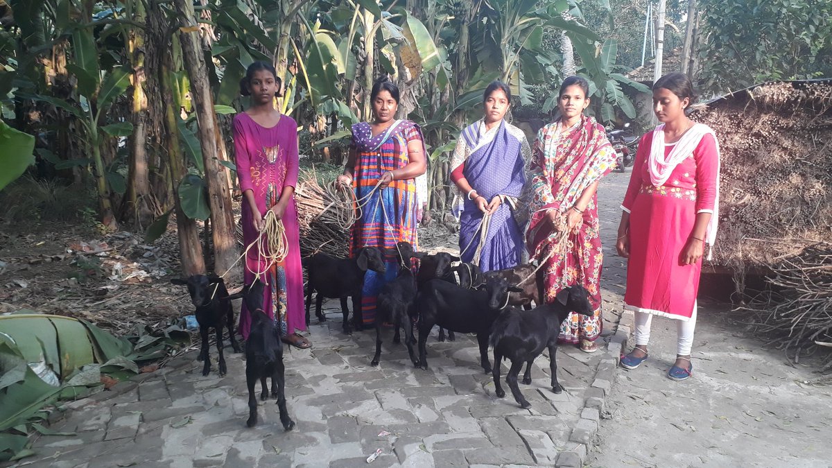 SanjevaniG's tweet photo. Rural Women Empowerment Through #BlackRevolution. Aegipan® Team in Association with #Nirdhan & #Shivia Really Feeling Proud for Creating Such Examples in Rural Bengal. From Mondori, North 24 Parganas, WB
@PusaKrishi
#BlackBengalGoat #BreedImprovement #RuralEmploymentGeneration https://t.co/NmLybjtPg4