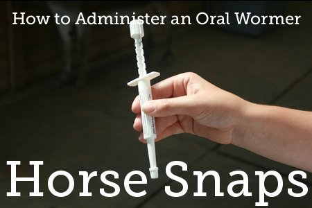 chat_stable's tweet photo. #horsewormers don't forget to worm your horses! Let us know what wormers you are using this time https://t.co/UEvRPNJoCO