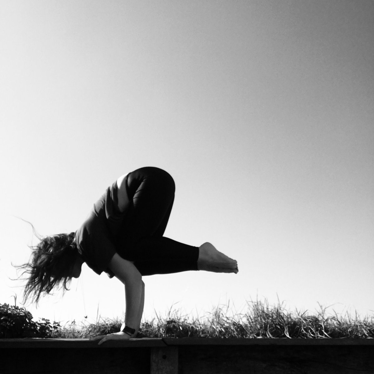 Tuesday Morning Yoga
Why not treat yourself? ✨

10:00 AM Mums' Post Natal Yoga (Babies welcome) Elisa Lee
10:30 AM Yoga with LYTTG trainees only £7/class 
12:30 PM Vinyasa Yoga - Lunchtime express Sarah Stevns