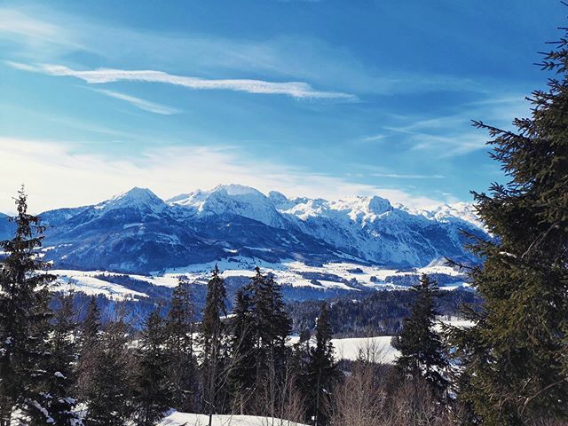 abtenau's tweet photo. #schneeparadies. In Abtenau ist der Winter zurück! ☃❄ Wir wünschen euch einen guten Start in die Woche! 💙🏔_________________________________________#abtenau #visitabtenau #monday #schnee #snow #familietime #familienzeit #nature #naturephotography #berge #mountains #365aus… https://t.co/dK2sOwLlGP