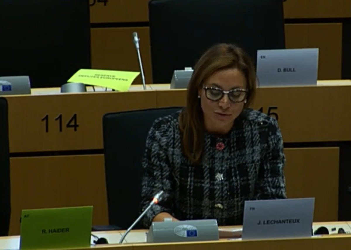 ETSC_EU's tweet photo. @JLechanteux says 3000 deaths in France, 25,000 in Europe is way too high. https://t.co/LjoZTF8j0s