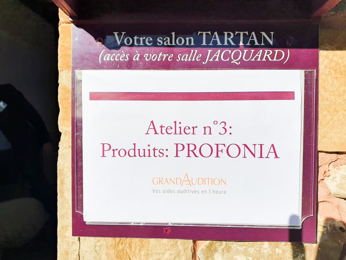 Journée formation samedi avec les audioprothésistes, assitantes et techniciens du groupe #GrandAudition au Chateau de Faverges. Merci pour la confiance de GrandAudition accordée à Profonia !