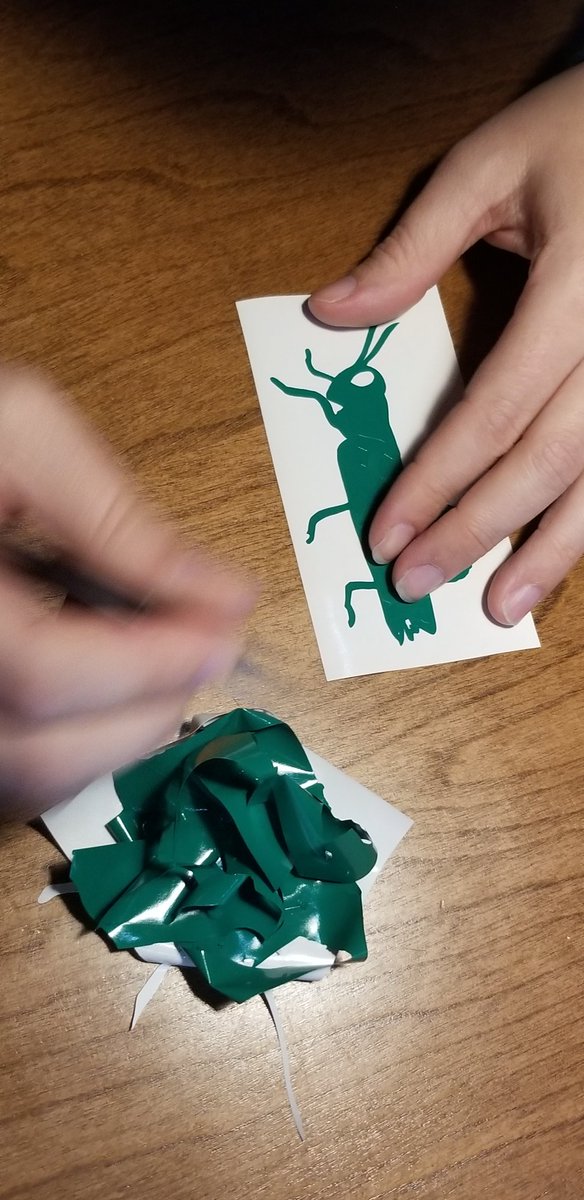 artisticnatures's tweet photo. Slowly, but surely, a #grasshopper #vinyl decal reveals itself. Each art piece goes thru several phases before it arrives at your home. The more you know... #SciArt https://t.co/3iBXWmS8wu