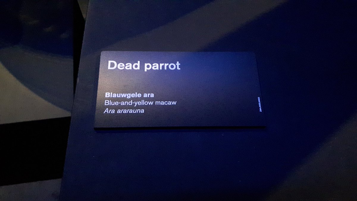 JackDAshby's tweet photo. See. Museums can be funny.
#MuseumNerdsAbroad #DeadParrot #HesResting https://t.co/RyX3vwqB03