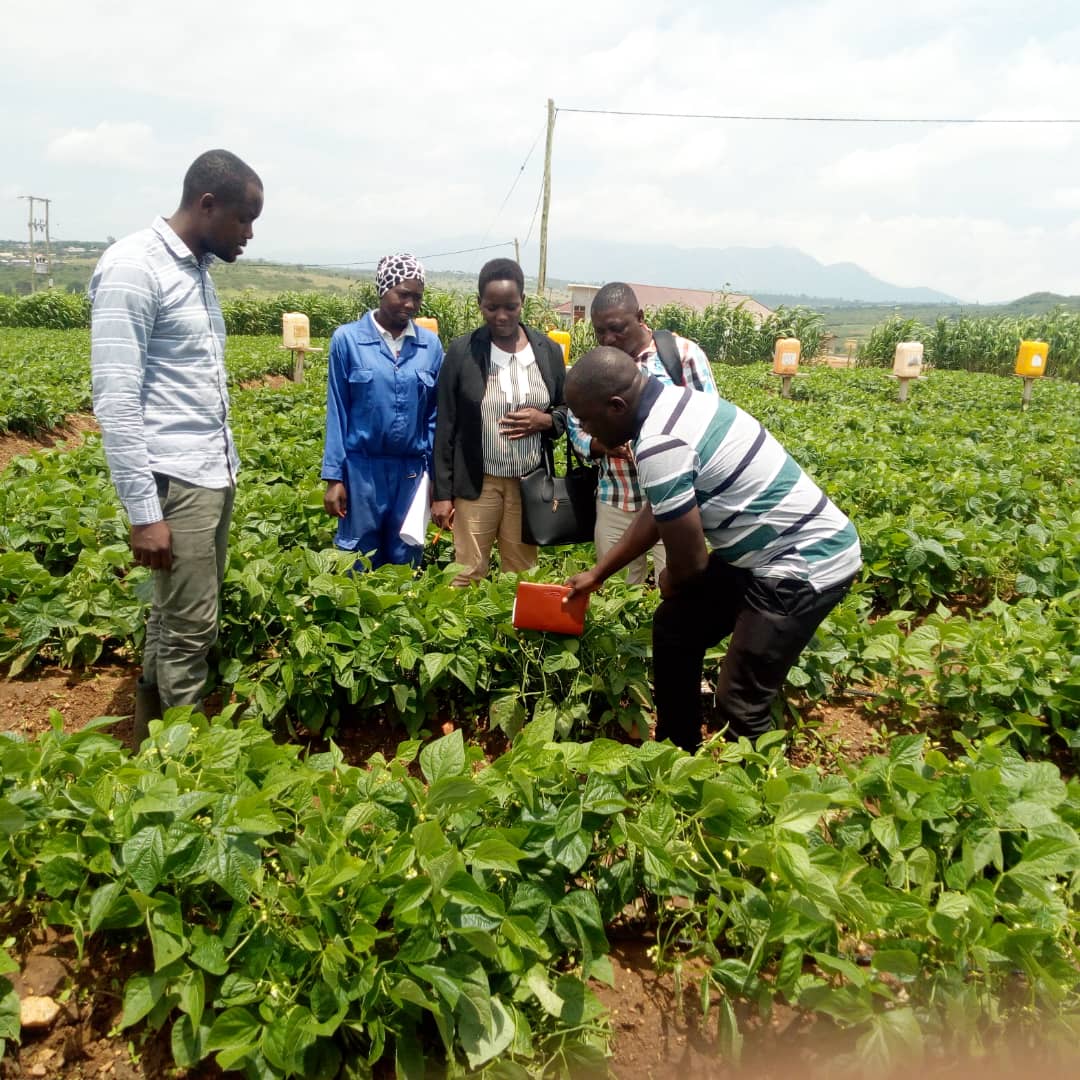 Hadija Jabiri tweet media