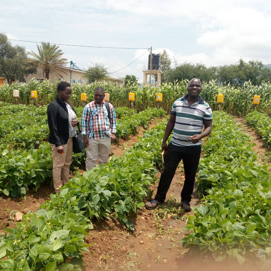 Hadija Jabiri tweet media