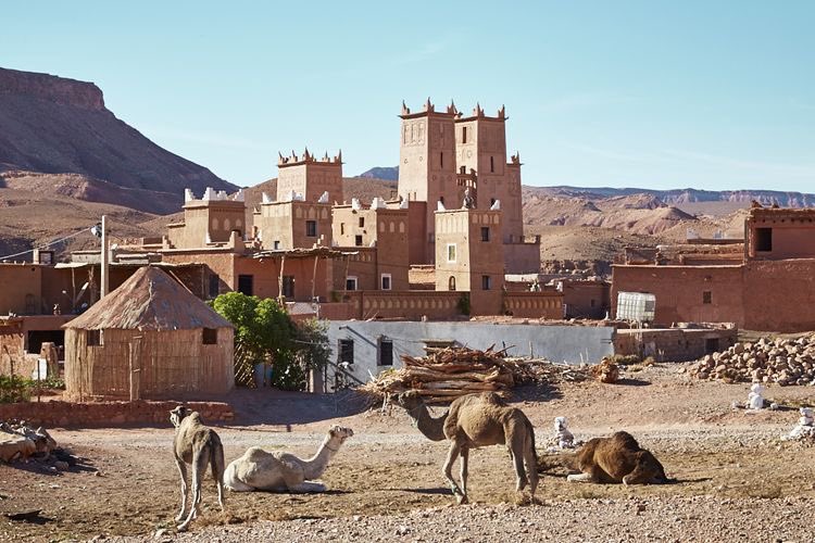 mnaw7's tweet photo. لم يعلم قارون أن بطاقة الصراف الآلي تغني عن مفاتيحه التي يعجز عن حملها أشداء الرجال

ولم يعلم كسرى أن الكنبة التي في بيوتنا أكثر راحة من عرشه

ولم يعلم قيصر الروم أن السيارة أكثر راحة من الخيل

نعيش عيشة لم يعشها الملوك ولم يحلموا بها
ومع ذلك الكثير منا يندب حظه.

اللهم لك الحمد https://t.co/VIVxeM1TbM