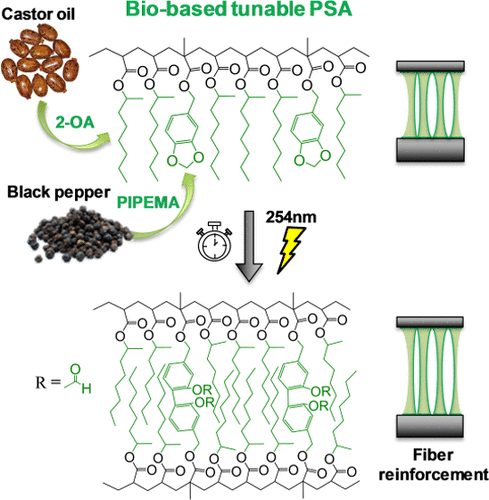 gomobel's tweet photo. Here it is! My first collaboration with @cenmag! 🥳

Researchers at @bercpolymat used compounds derived from castor oil and black pepper to prepare a new UV-tunable bio-adhesive. 💡

The original research paper was recently published in @ACSSustainable  

https://t.co/4VQpWVk9Ir https://t.co/erguGUozMH