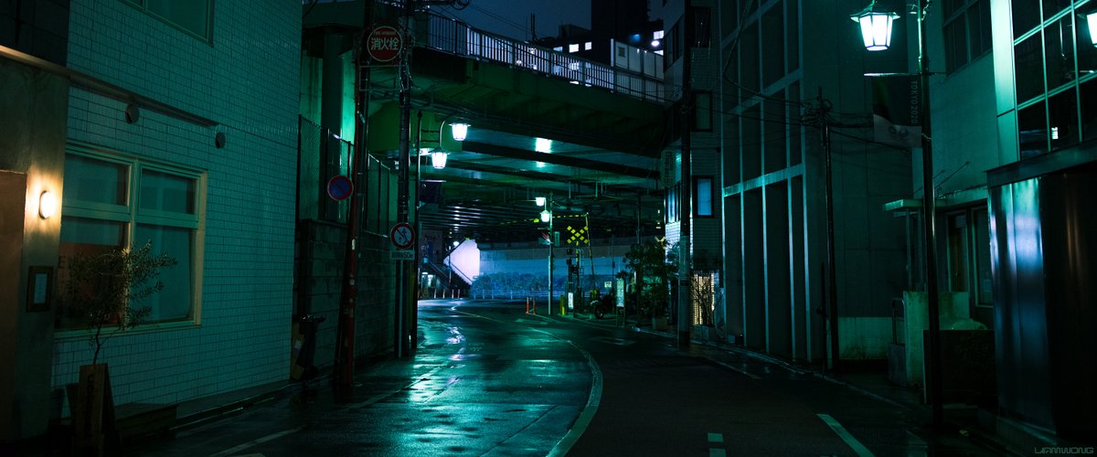 Photography by Liam Wong of Tokyo at night. An empty street in the rain. It has a slight curve to it, noticeable by the white painted lines on the street. It is green tinted. An overhead bridge and underneath is a train line. Many white lamps appear.