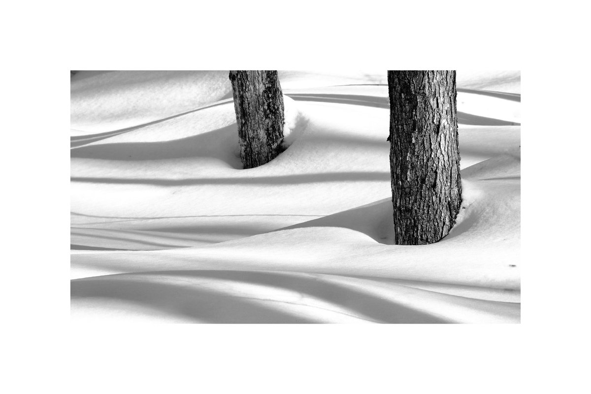 junekrisko's tweet photo. I love how the snow curls around the tree trunks and the shadows of the trees on a bright sunny day❄️☀️
.
.
.
#haliburton #blackandwhitecreative #myhaliburton #myhaliburtonhighlands #onhighlands #fujixt20 #fujilove #snowwaves #blackandwhite #nature #junekriskoartist https://t.co/Frgulv1GYn