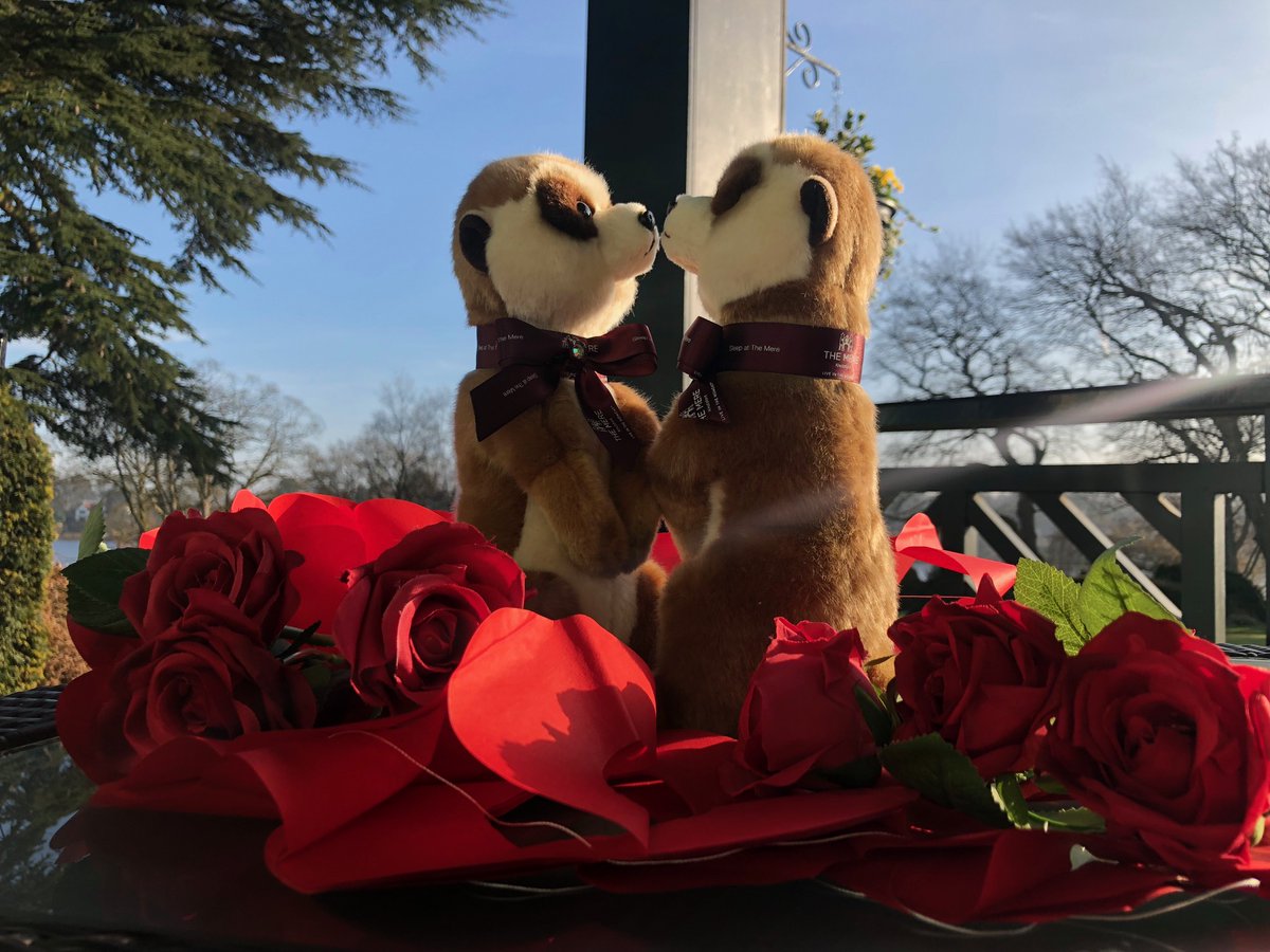 WIN four tickets to Bride: The Wedding Show which is taking place at Tatton park on 1st and 2nd February. Head to our facebook page to enter >>> facebook.com/TheMereResort/