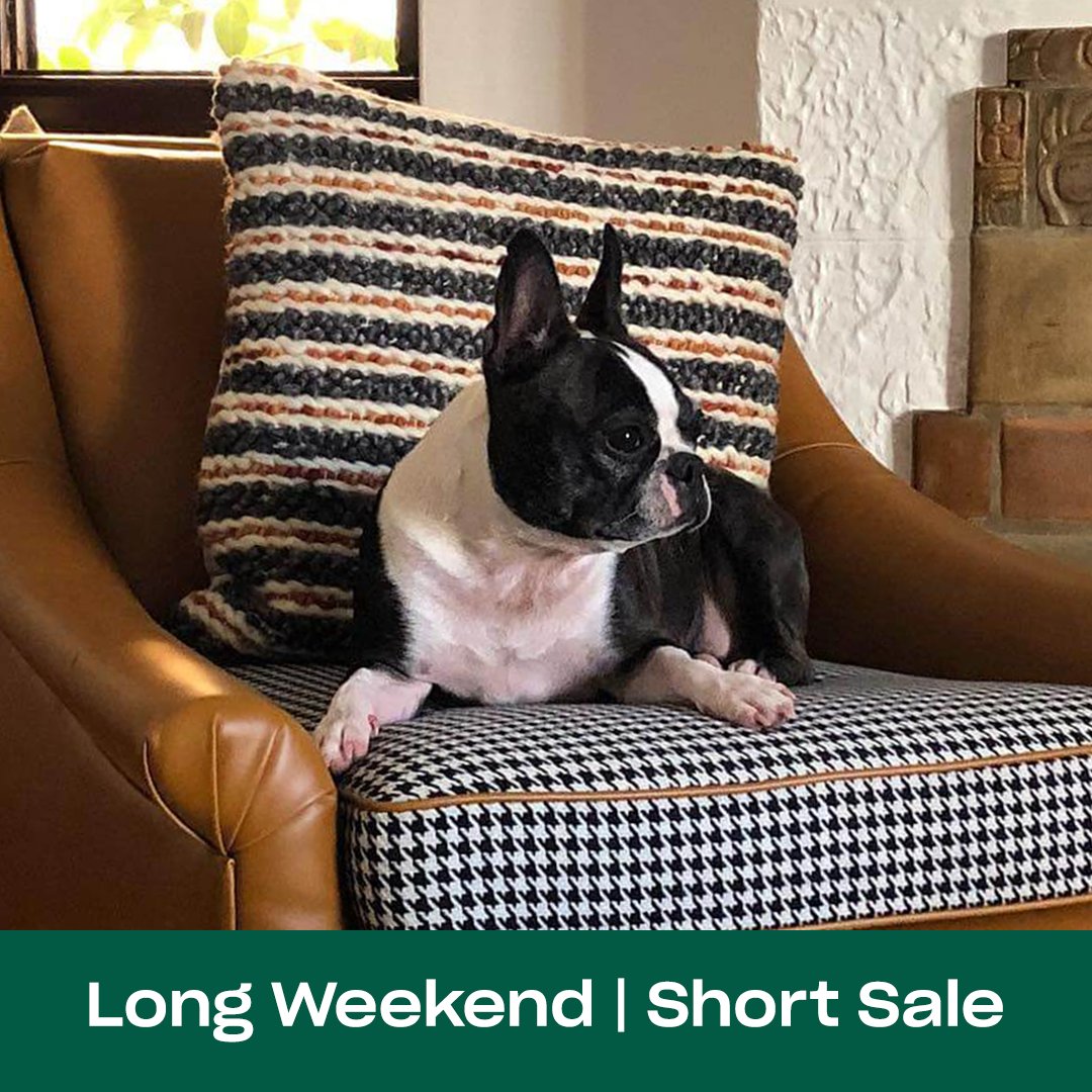 Apt2B's tweet photo. Let the weekend lounging continue! Just make sure to hit up the LAST DAY of our #LongWeekendSale! 15% OFF Storewide + 0% APR Financing for 12 Months ends at MIDNIGHT!
Save NOW: https://t.co/ufzwEAMKpM https://t.co/XvXHDaKacS