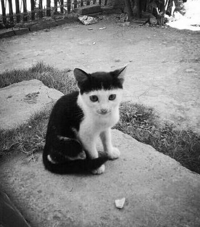 Jego matka obcieła.