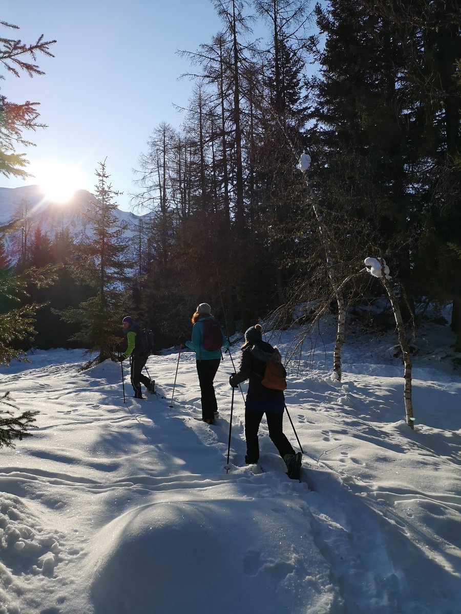 MGM Constructeur tweet media