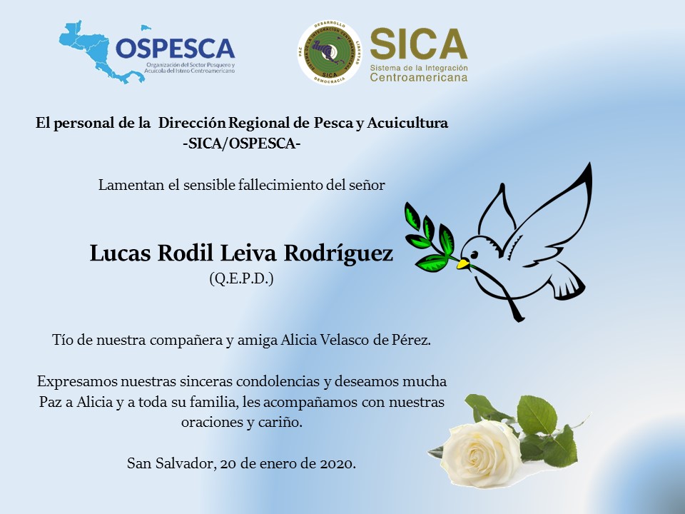 SICAOSPESCA's tweet image. Expresamos nuestro cariño y apoyo en este momento difícil que pasa nuestra compañera y amiga Alicia Velasco, nos unimos en oración🙏por el sensible fallecimiento de su tío Lucas Rodil Leiva Rodríguez, que Dios de paz y resignación a toda la familia. 🕊