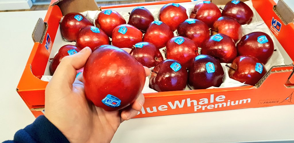 FruitWhispers's tweet photo. @bobbybluewhale1 & his team have been up all weekend polishing these delicious red chief apples.
Premium #Bluewhale now available on #barrowboy offer.
@SPARDSAP
Case 22's - 29p each or 4 for Β£1. @SPARintheUK π«π·π«π·π«π·πππ https://t.co/3moO3SuUjR