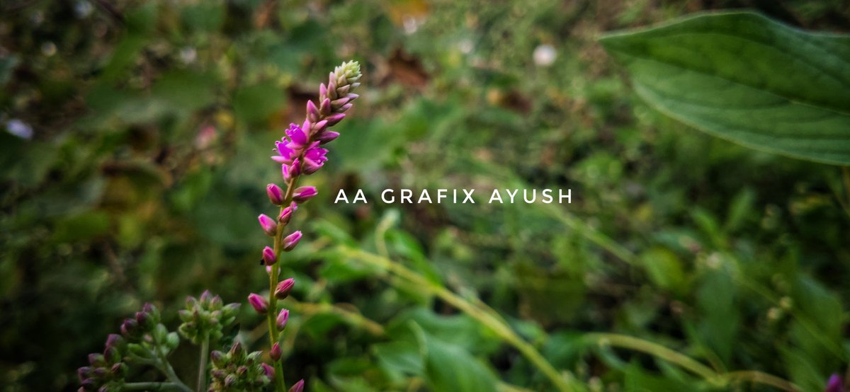 GrafixAa's tweet image. #singleone #photography AA GRAFIX ANUSH