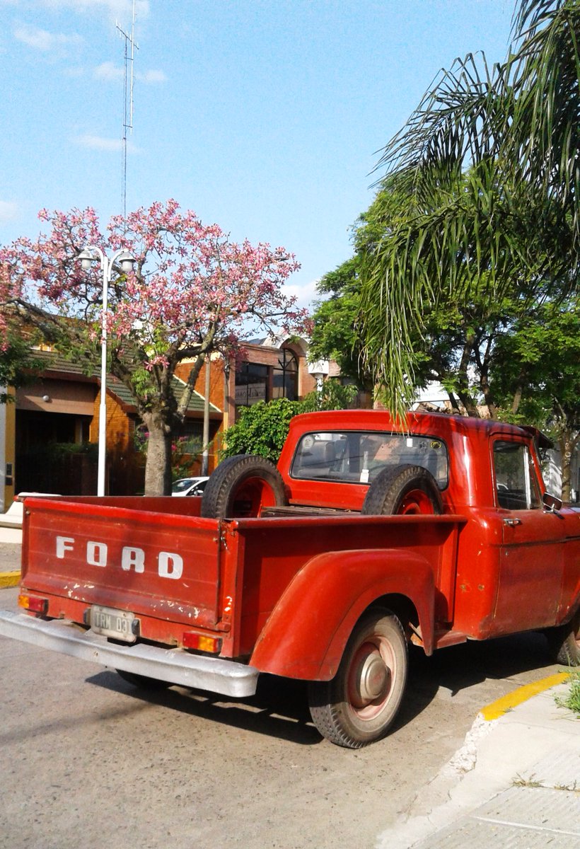 Autazos's tweet photo. #BuenLunes
Ford F100
Mercedes Bs. As.
#autazo https://t.co/ayEMAtTCY4