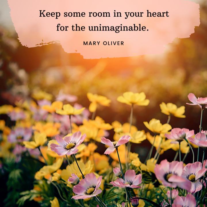 ContentmentHlth's tweet photo. Dream on. 
#mondaymotivational

#mondayquotes #motivationalmondays #maryoliver #quotestagram #maryoliverquotes https://t.co/5AluVohgWc