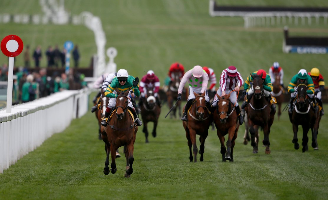 barbizon triumph hurdle betting barbizon triumph hurdle betting