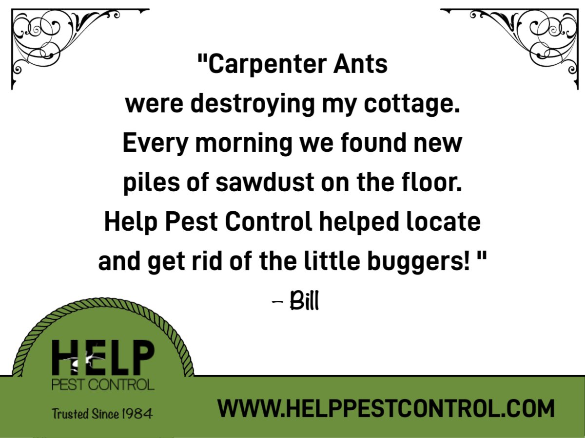 We've been protecting homes, cottages, businesses, resorts and marinas with environmentally friendly pest control since 1984. We are the Original Spiderman! HELP Pest Control, 1-888-568-4693.
