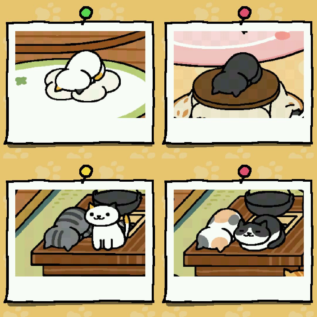 今もたまにねこあつめやってます。ごめん寝だいぶ集まってきた。まねきねこはなかなか会えないな～
#ねこあつめ 