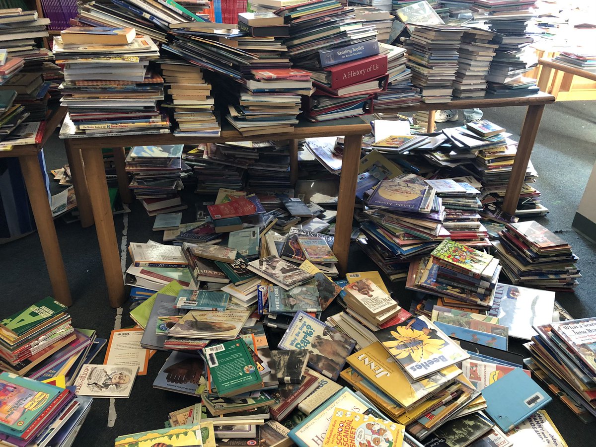 Sarah Peterson tweet media