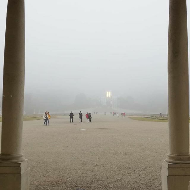 vienna_hosts's tweet photo. So ein foggy Schönbrunn kann schon auch etwas. Blick vom Erdgeschoss im Schloss auf den Garten. Wusstet ihr, dass ihr dort ganz schön viele Freimaurer Symbole finden könnt?

#viennawithlocals
#discovervienna
#schloßschönbrunn
#wienimjanuar
#winterwien
#wienjetztundimmer https://t.co/Xj1q0c70QE