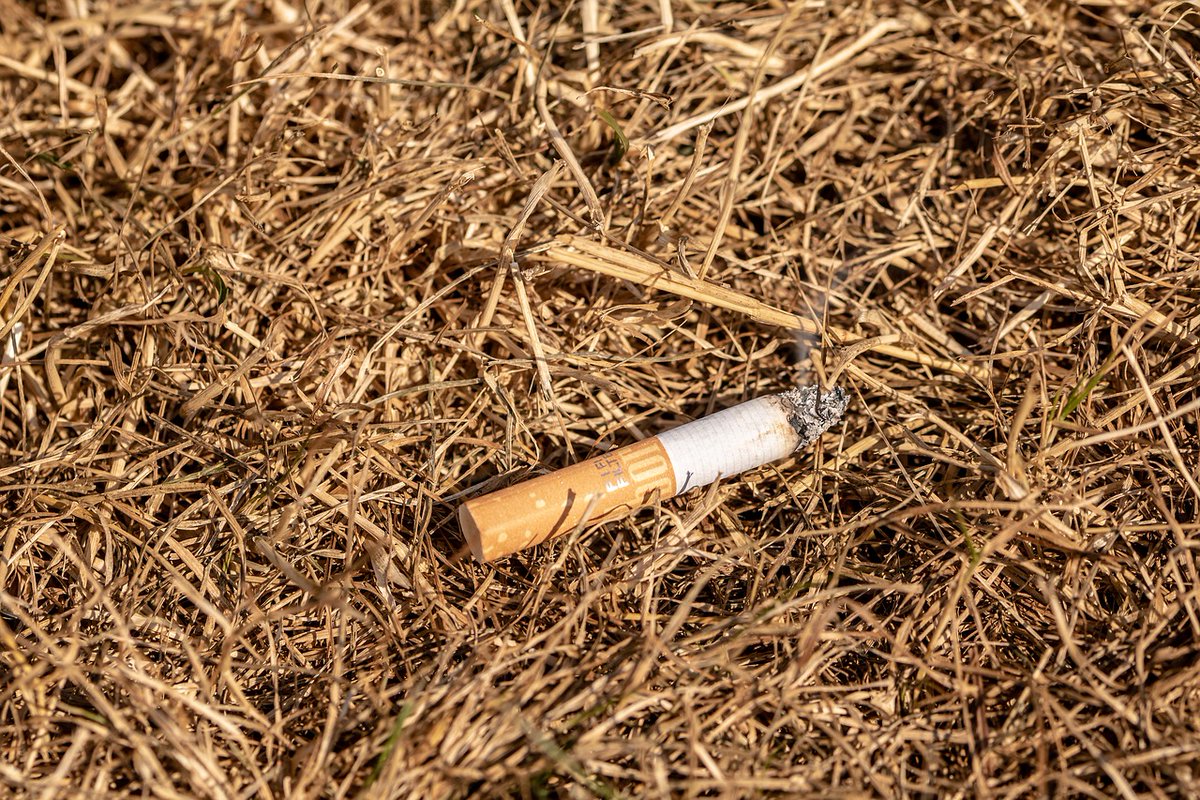 Barrie360's tweet photo. Drivers in Australia can be fined up to $11,000 for tossing a lit cigarette 
#Australia #CigaretteButts #WildFires #RecklessBehaviour #NewSouthWales #DemeritPoints
https://t.co/Lmo6TRTJ8i https://t.co/nzpiXizaQe